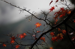 雨模様