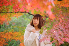 彩