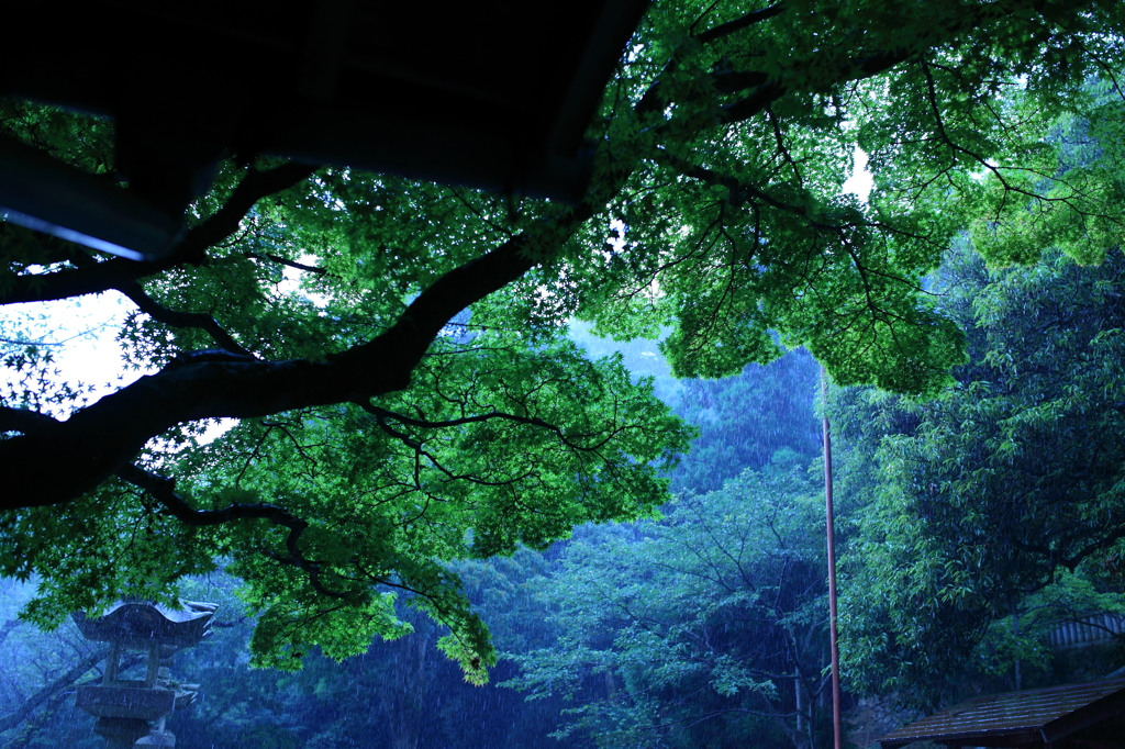 雨の色　2