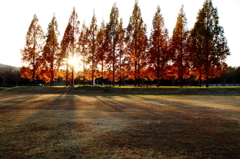 夕暮れの公園