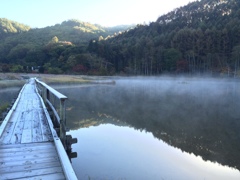朝靄のあやめ池①