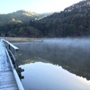 朝靄のあやめ池①