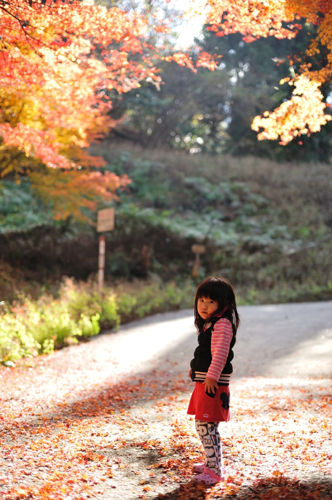 紅葉狩りで娘狩り