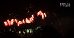豊田花火大会2014