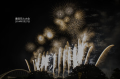豊田花火大会2014