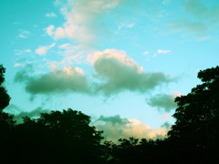雨上がりの空