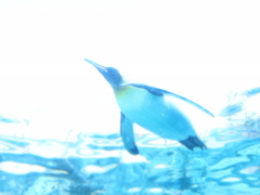 ペンギン