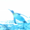 ペンギン