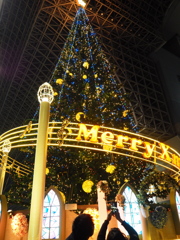 クリスマスツリー＠京都駅