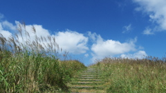 高原の階段