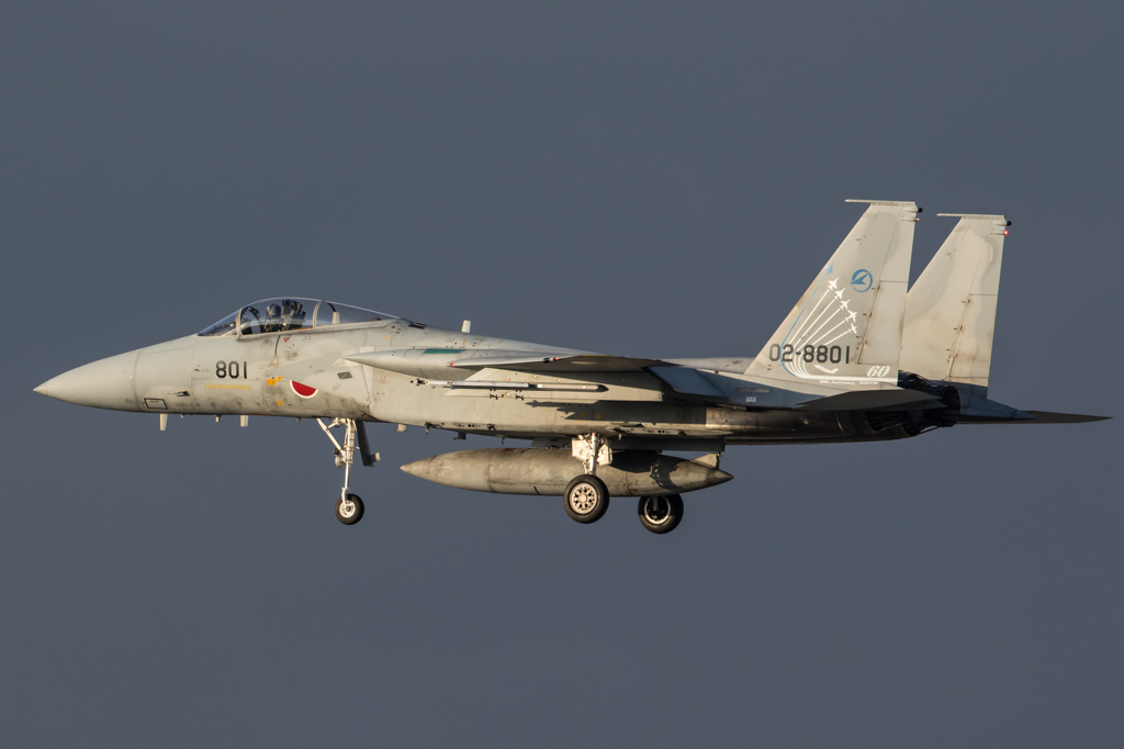 ADTW 60th SP　F-15