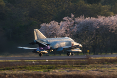 桜×ファントム×バーナー