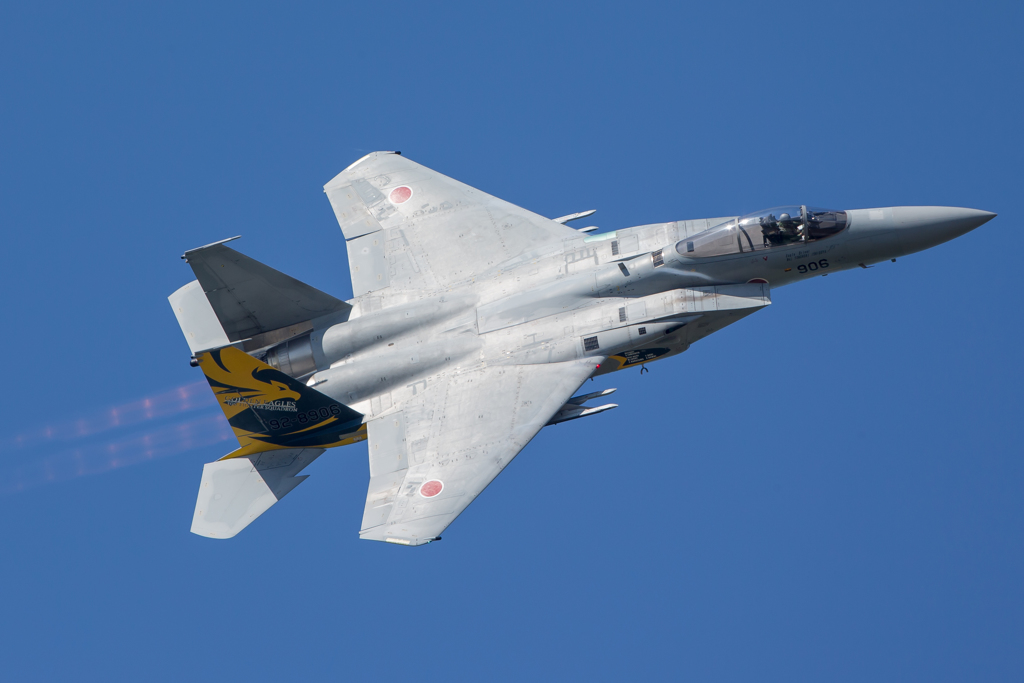 イヌワシ機動