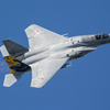 イヌワシ機動