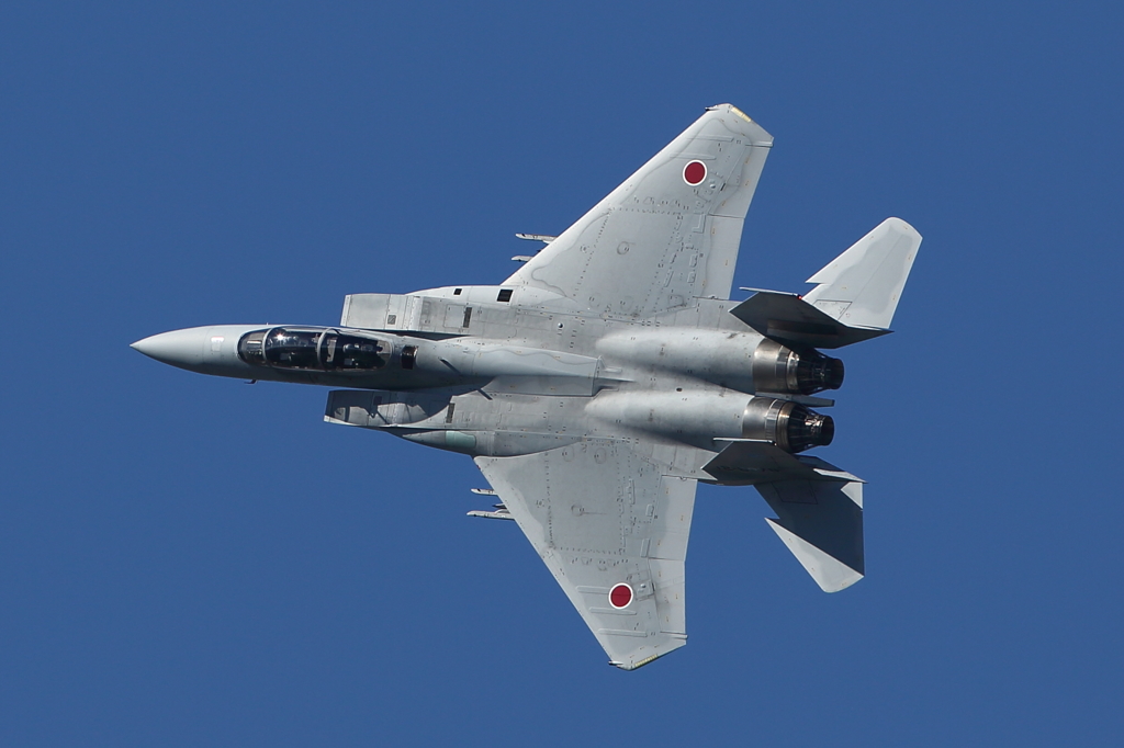 F-15DJ ショートクローズ