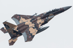 アグレッサープリン味