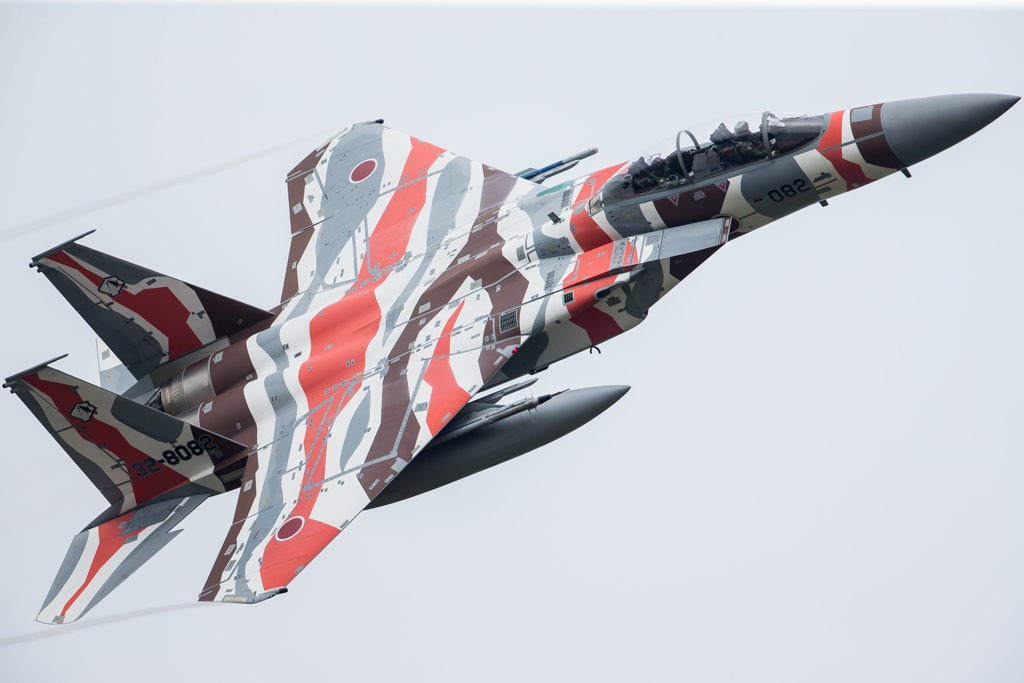 毒のある生き物は色がキツイ