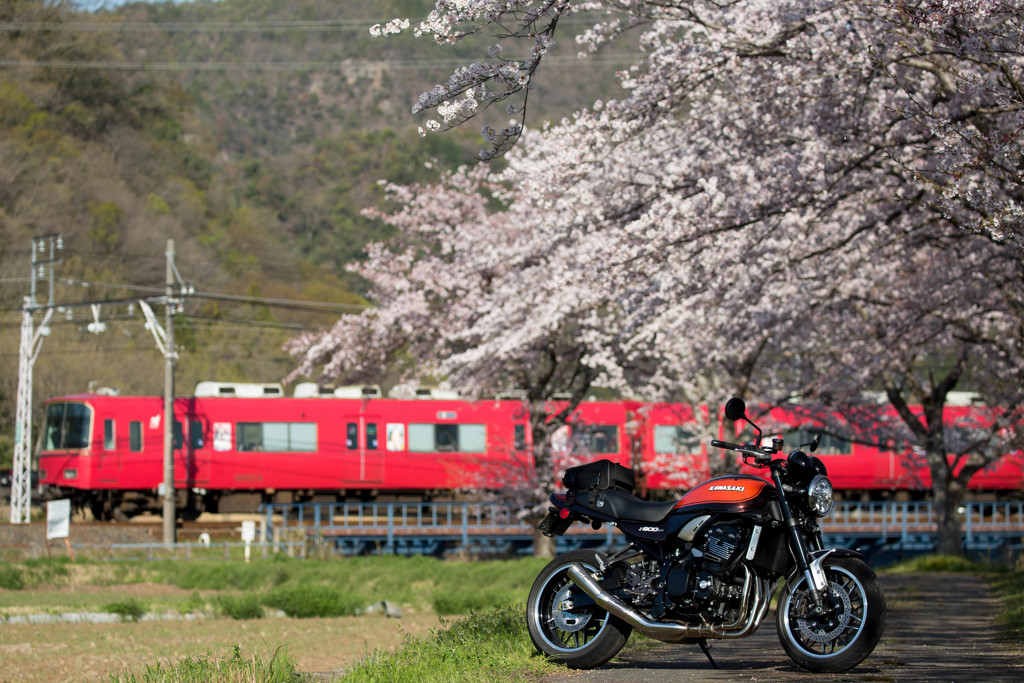 紅ｘ赤ｘ桜色