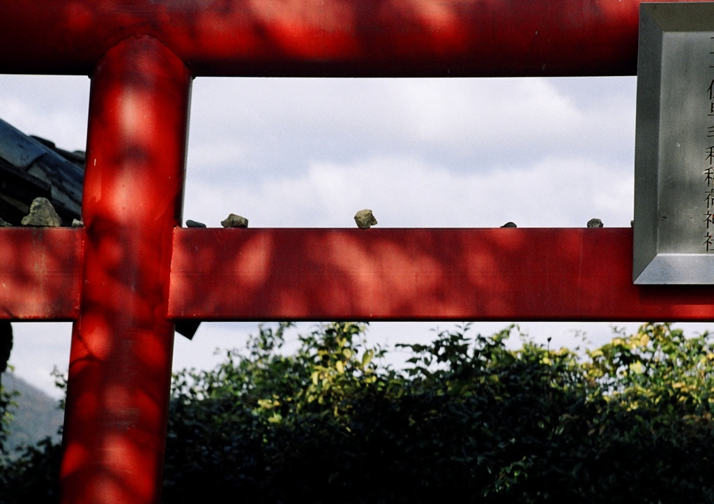 鳥居侍