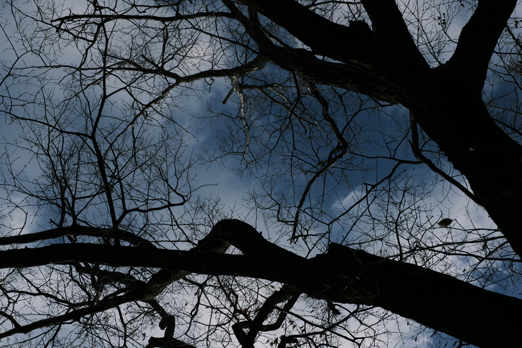 冬空