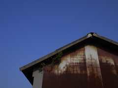 青空と錆