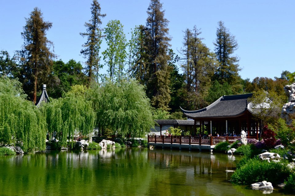 Japanese Garden