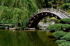 Japanese Garden