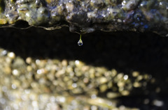 Water Drop