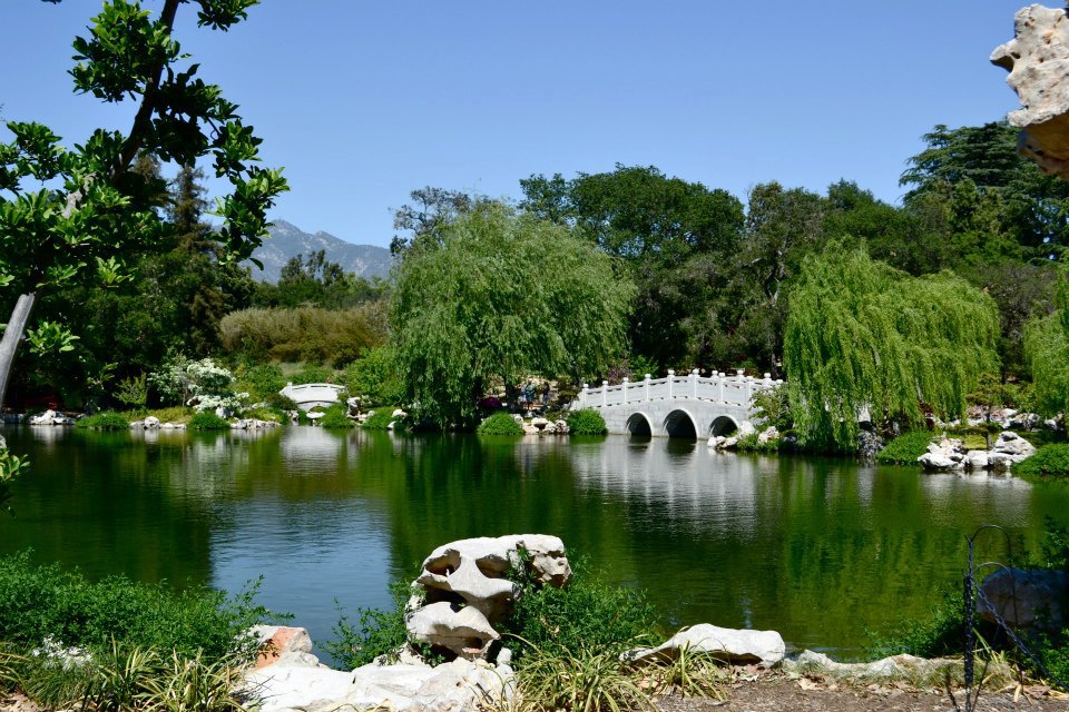 Japanese Garden