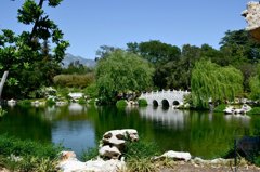 Japanese Garden