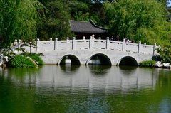 Japanese Garden