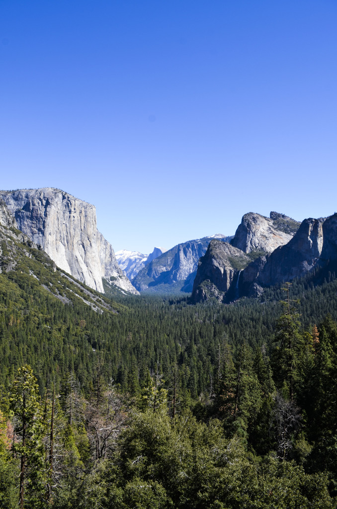 Yosemite National Park