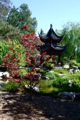 Japanese Garden
