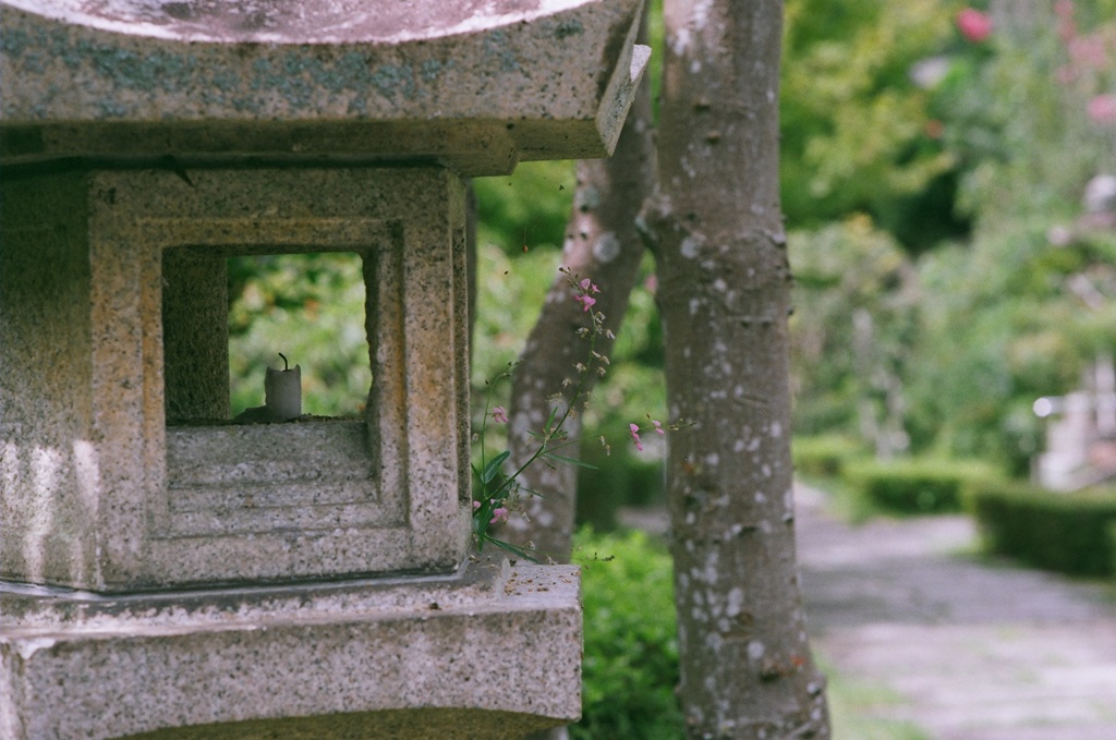 灯篭に花