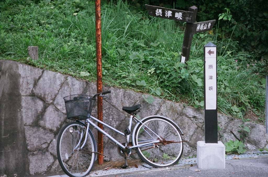 これから、歩く