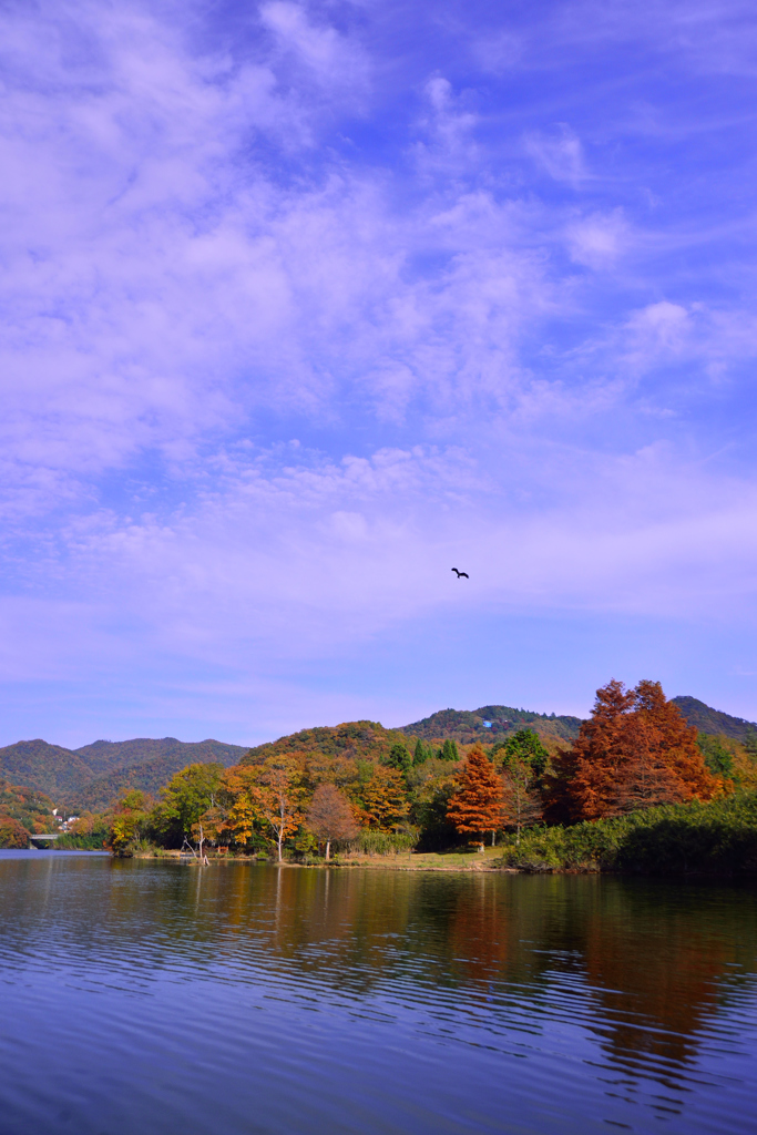 秋景１