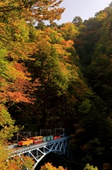 秋の凸型トロッコ電車