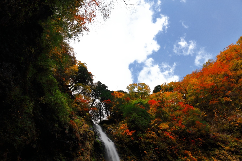 阿弥陀ヶの滝