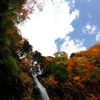 阿弥陀ヶの滝