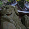 阿