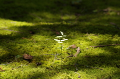 IMGP0920