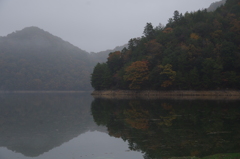 小糠雨のダム湖