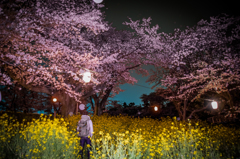散りゆく前に