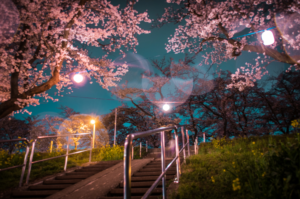 雨の合間