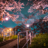 雨の合間