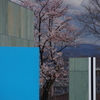 アートの隙間から(^^;;