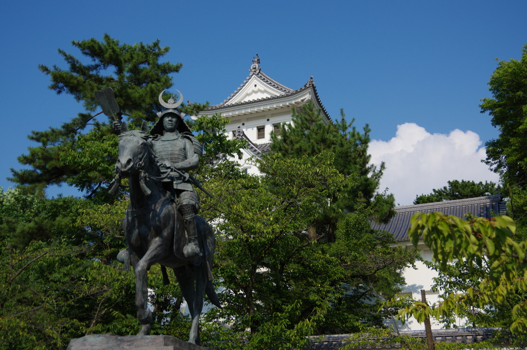 盛夏の大垣城