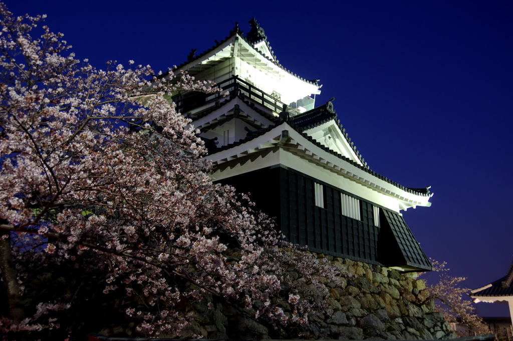 夜桜浜松城