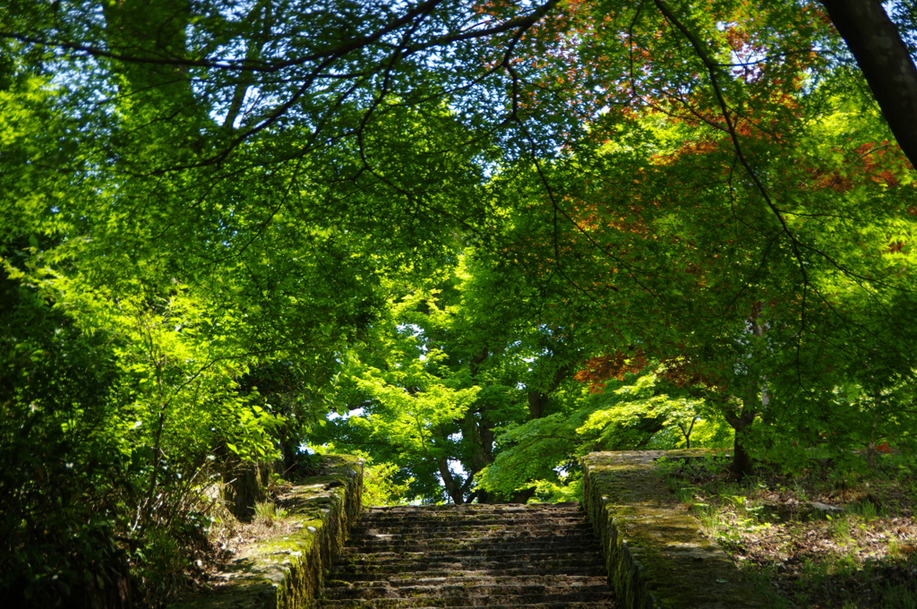 初夏への階段