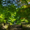 初夏への階段